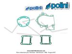 Carters moteur complets Polini pour Mobylette Motobcane MBK 51 (AV10) (170.0100)