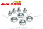 Contrepoids Malossi pour variateur Malossi Variotop pour Mobylettes Motobcane MBK 51 / Peugeot 103 (x4 poids + x4 vis)
